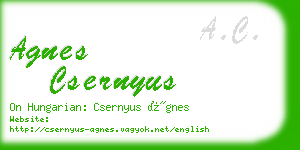 agnes csernyus business card